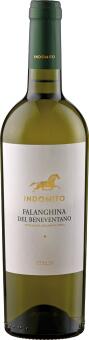 Falanghina del Beneventano 'Indomito'
