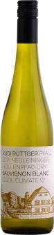 Sauvignon Blanc Cool Climate