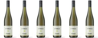 5+1 Paket Zellinger Sonnleite Silvaner
