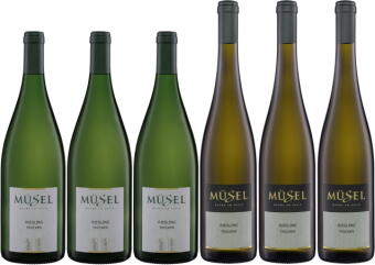 Riesling trocken Paket
