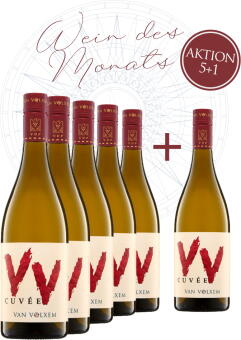Paket "Wein des Monats"