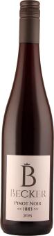 Pinot Noir << 1883 >>