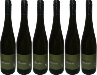 Grüner Silvaner Probierpaket