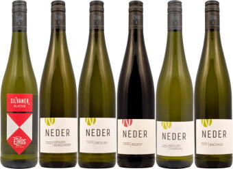 Paket 2: Rebsortenweine trocken inkl. Versand